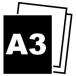 A3